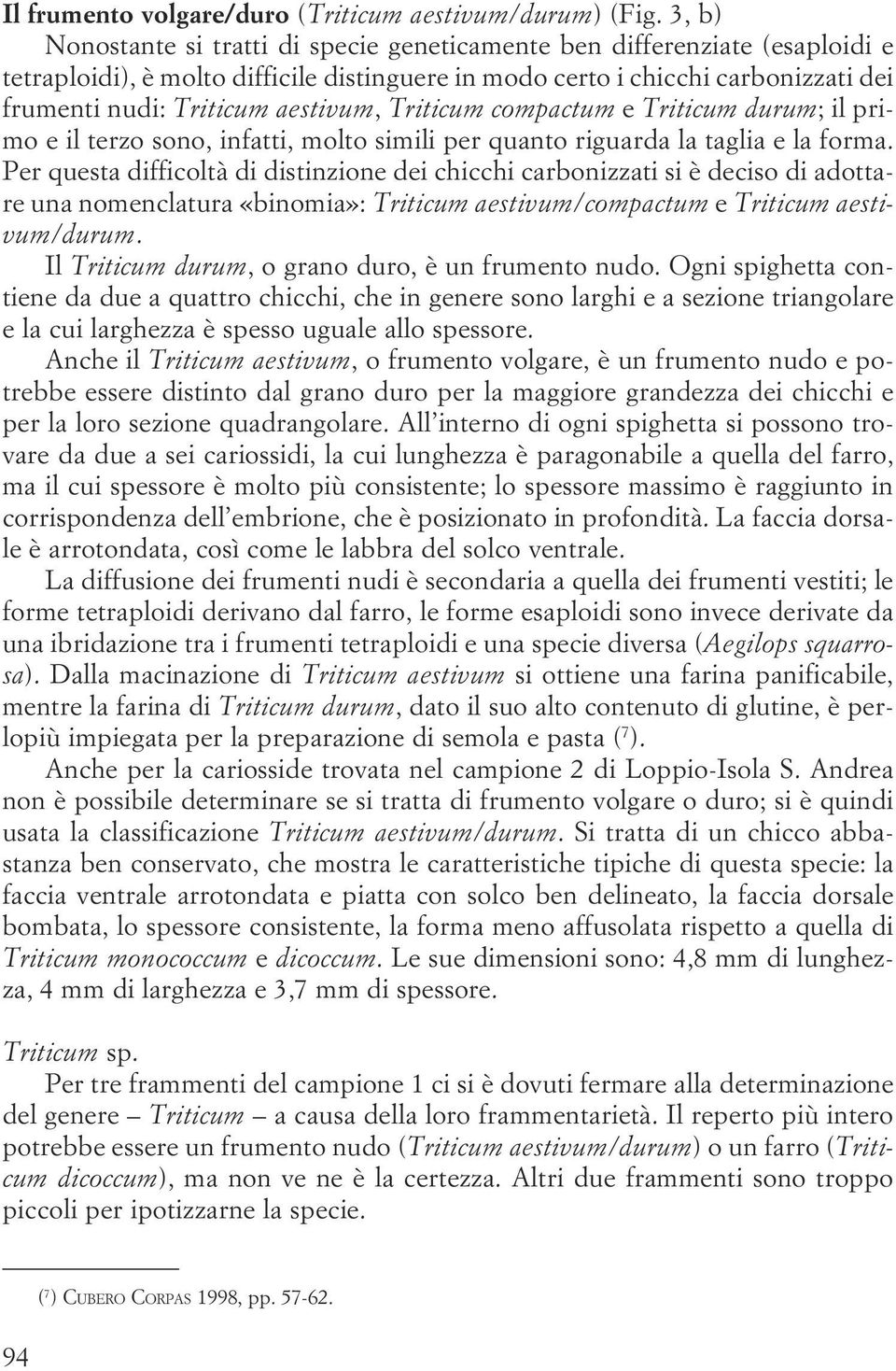 difficoltà di distinzione dei chicchi carbonizzati si è deciso di adottare una nomenclatura «binomia»: Triticum aestivum/compactum e Triticum aestivum/durum Il Triticum durum, o grano duro, è un