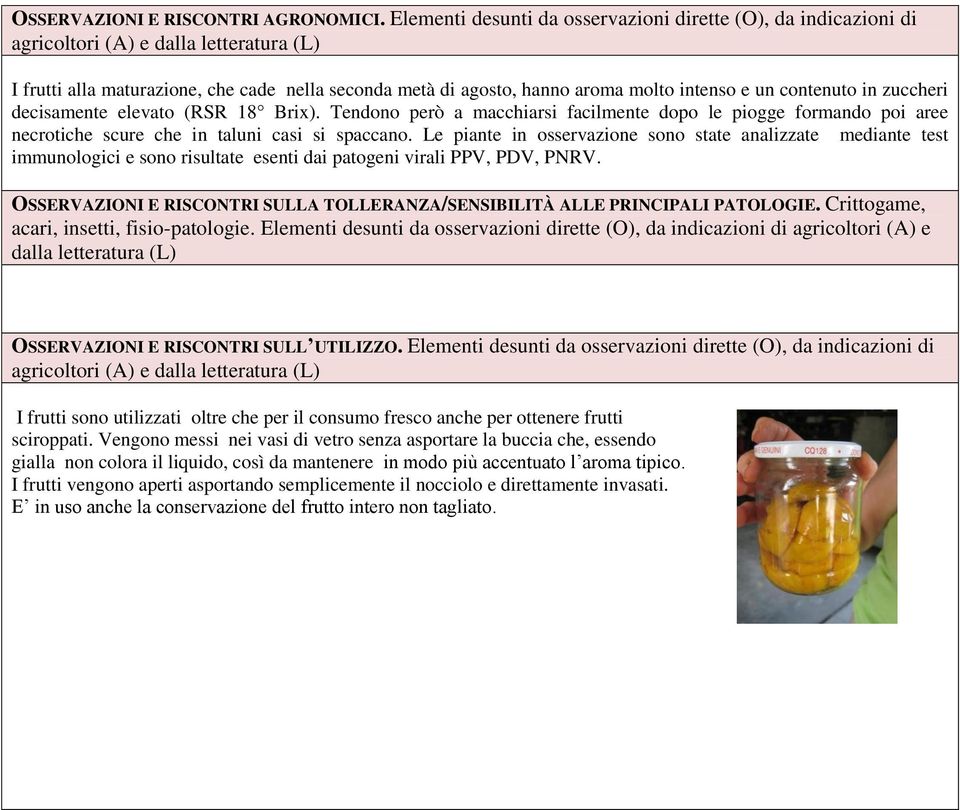 un contenuto in zuccheri decisamente elevato (RSR 8 Brix). Tendono però a macchiarsi facilmente dopo le piogge formando poi aree necrotiche scure che in taluni casi si spaccano.