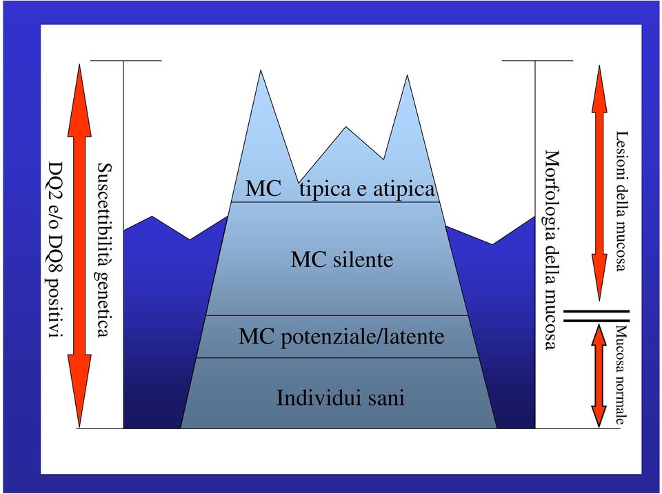 MC silente MC potenziale/latente Individui