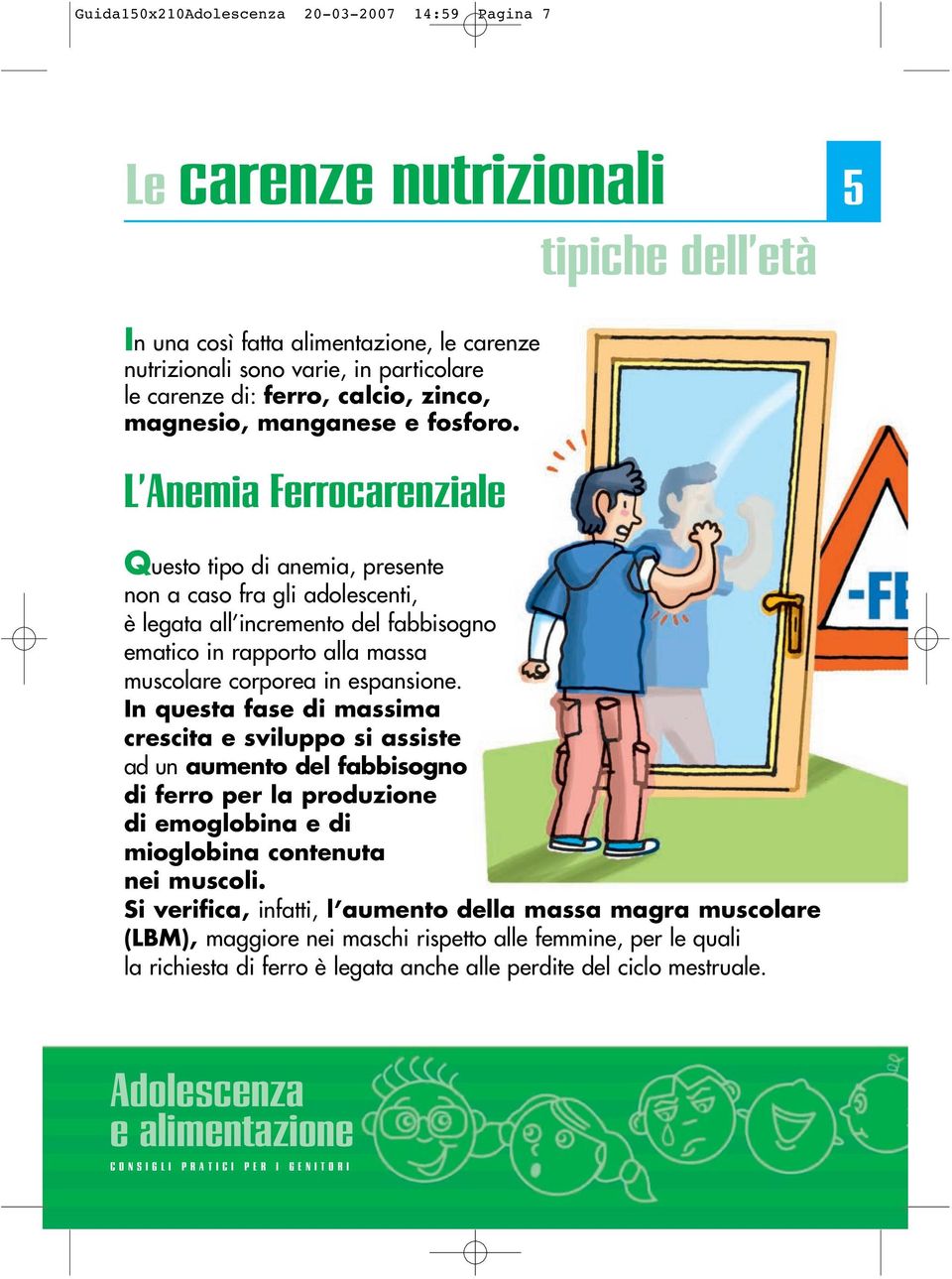 L Anemia Ferrocarenziale Questo tipo di anemia, presente non a caso fra gli adolescenti, è legata all incremento del fabbisogno ematico in rapporto alla massa muscolare corporea in espansione.