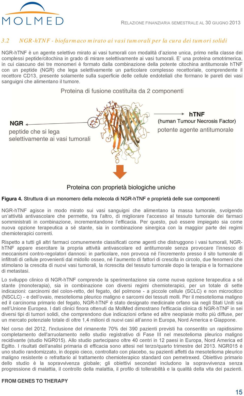 E una proteina omotrimerica, in cui ciascuno dei tre monomeri è formato dalla combinazione della potente citochina antitumorale htnf con un peptide (NGR) che lega selettivamente un particolare