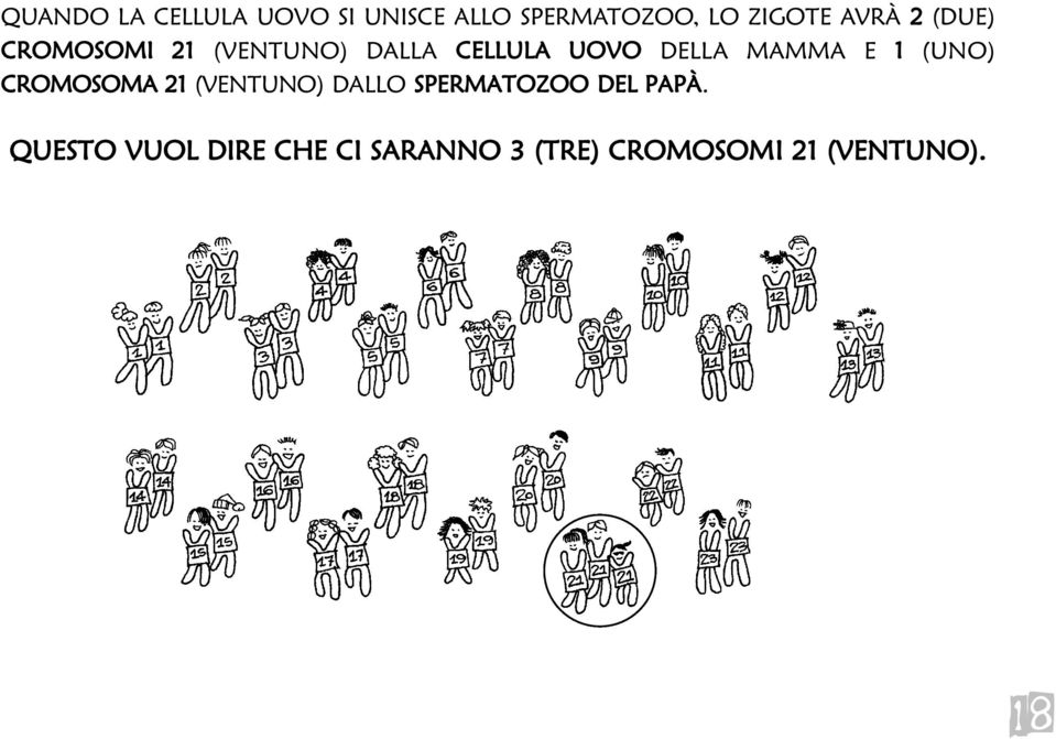 MAMMA E 1 (UNO) CROMOSOMA 21 (VENTUNO) DALLO SPERMATOZOO DEL