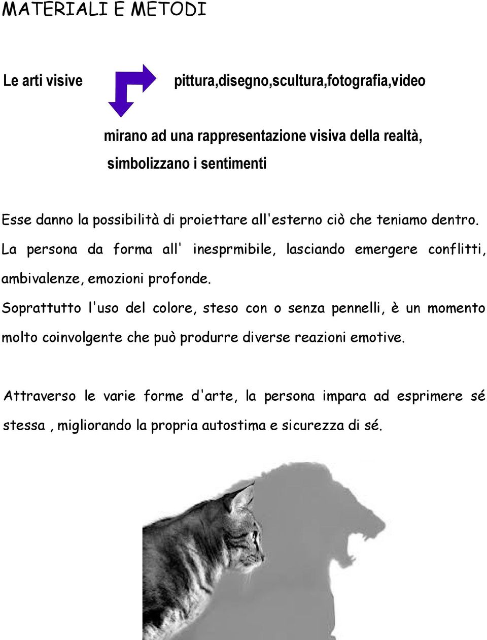 La persona da forma all' inesprmibile, lasciando emergere conflitti, ambivalenze, emozioni profonde.