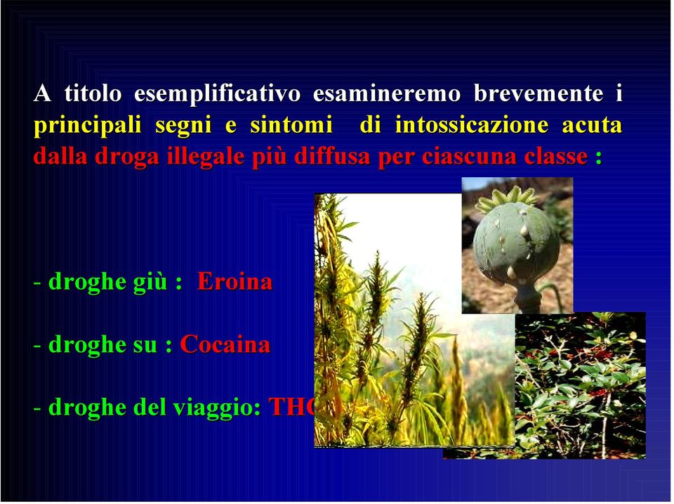 droga illegale più diffusa per ciascuna classe : -