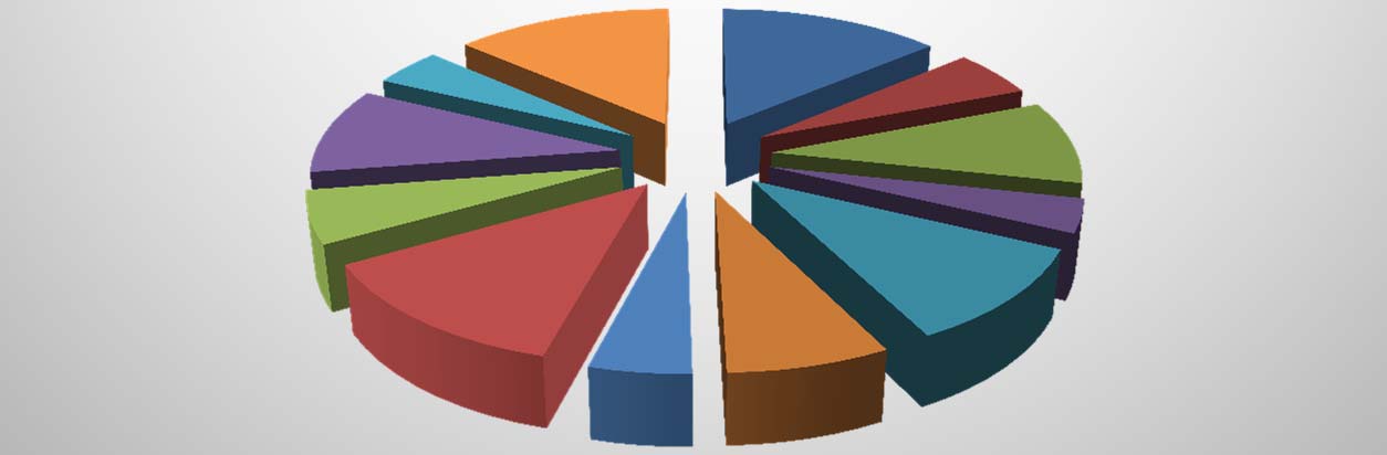 Punto di forza: ANAGRAFE 55542 nuove registrazioni 17707 decessi registrati Nuove iscrizioni Anagrafe canina per Az.