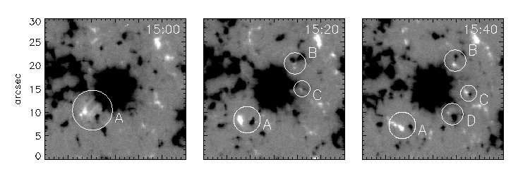 Osservazioni di Moving Magnetic Features in una regione attiva in fase di decadimento Durante una campagna osservativa coordinata (IBIS/DST, HINODE, MDI/SOHO, TRACE), è stata osservata la NOAA 10977,