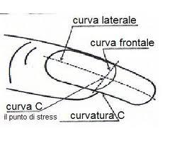 - Corpo ungueale: chiamato anche lamina o corpo dell'unghia, si ritrova sopra il letto ungueale, è la parte cornea, composta per la maggior parte da cheratina.