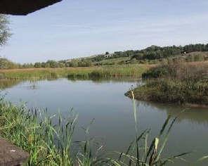 2.5. INQUADRAMENTO GEOLOGICO E ASSETTO IDROBIOLOGICO Il presente lavoro è stato redatto a seguito dell incarico conferitomi da parte della Regione Basilicata come geologo dell area 4, Lago Pantano di