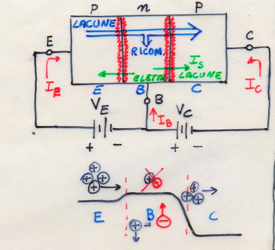Le lacune iniettate da E attraversano velocemente la giunzione diretta EB e vengono accelerate dalla pol. inversa di BC verso C. Quindi la corrente di collettore I C e indipendente da tale pol.