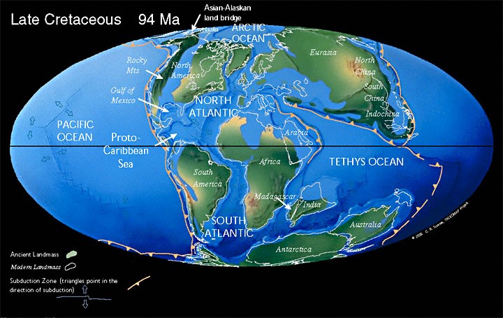 Nuovi oceani cominciano ad aprirsi nel Cretaceo (l oceano Sud Atlantico) Notare che il Nord America era connesso all Europa, e l