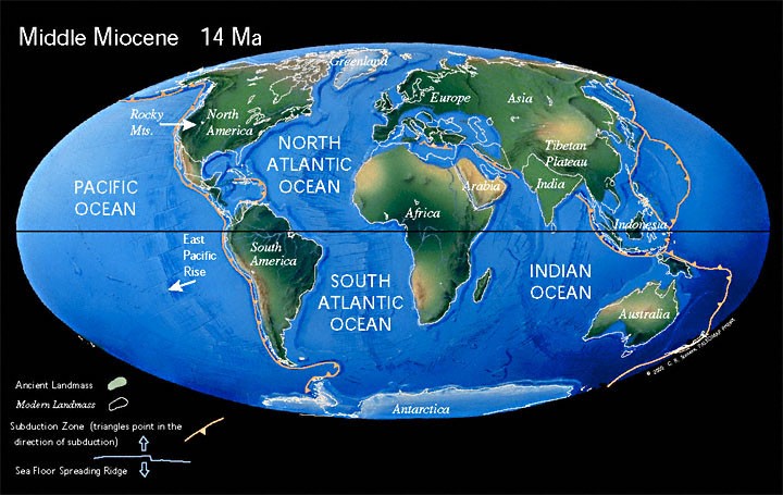 20 milioni di anni fa la Terra aveva già assunto un aspetto moderno Antarctica era ricoperta dal ghiaccio ed I continenti del nord si