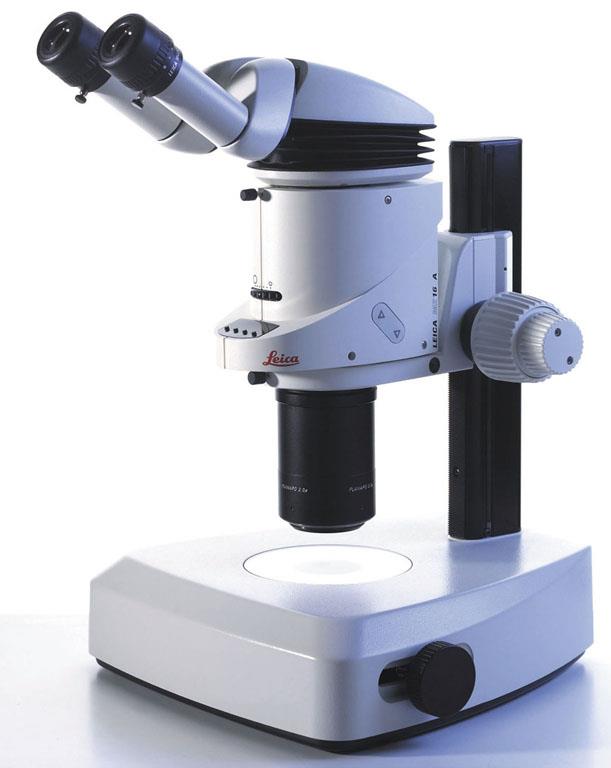 Stereomicroscopio la luce