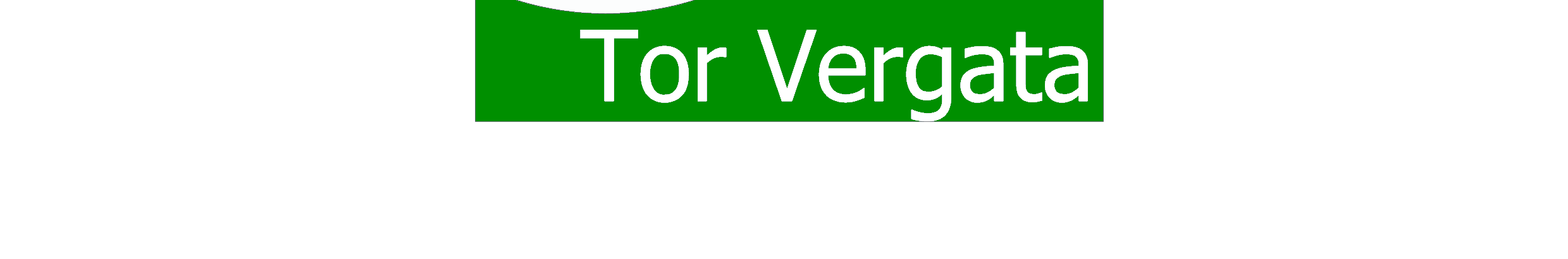 UNIVERSITA DEGLI STUDI DI ROMA TOR VERGATA SELEZIONE PER L INCARICO DI DIRETTORE GENERALE IL RETTORE VISTO l art. 17, comma 110 della Legge del 15.05.1997, n. 127; VISTO l art. 8 della Legge 19.10.1999, n.