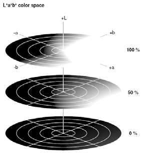 Che algoritmi con cui convertire in un formato standard i colori acquisiti. incorporano sia informazioni relative alla gamma correction... Che la matrice di conversione delle componenti primarie.