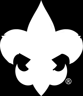 Negli Stati Uniti esistono tre associazioni principali: Boy Scouts of America, Girl Scouts of the USA, Baden-Powell Scouts oltre ad una ventina di altre associazioni tra cui una polacca!