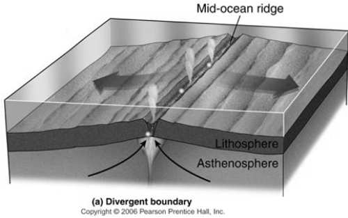 Crosta continentale e crosta oceanica la crosta continentaleè più leggera, più spessa, formata per lo più da rocce granitiche(sial) la crosta oceanicaè più pesante, più sottile, formata da rocce