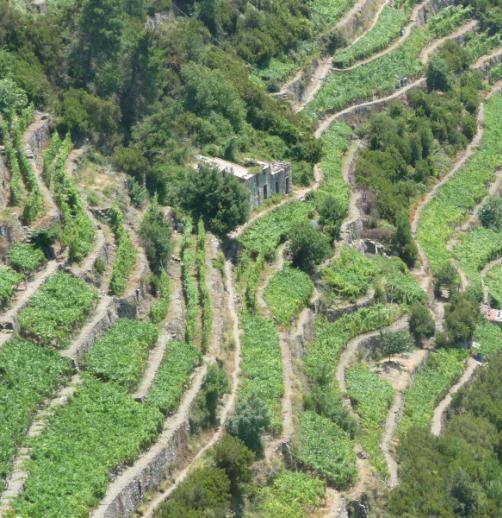 Il recupero del paesaggio rurale consiste in interventi di vario genere a seconda del contesto regionale quali il mantenimento e realizzazione di siepi, prati umidi, stagni, maceri e risorgive,