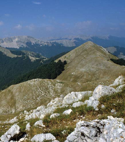 47 46 REGOLAMENTAZIONE DEL FLUSSO TURISTICO NELLE AREE DI PRESENZA DELL ORSO BRUNO MARSICANO DAL 10 AGOSTO AL 4 OTTOBRE 2009 Le aree in altitudine tra i Comuni di, Villavallelonga e Campoli Appennino