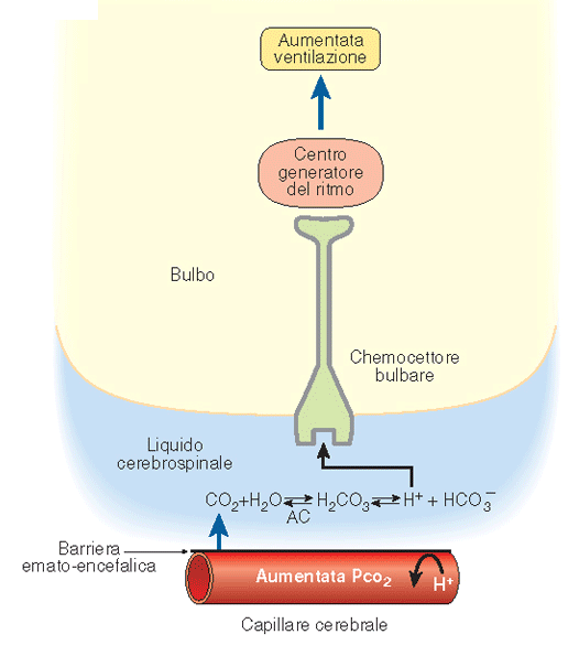 Controllo centrale dei livelli di CO 2