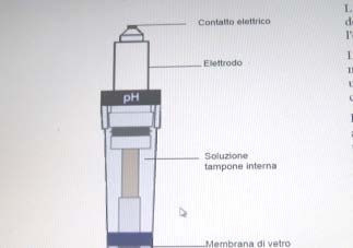 Il valore di ph indica il grado di acidità o di alcalinità del sangue e viene misurato direttamente per mezzo di un elettrodo per ph.