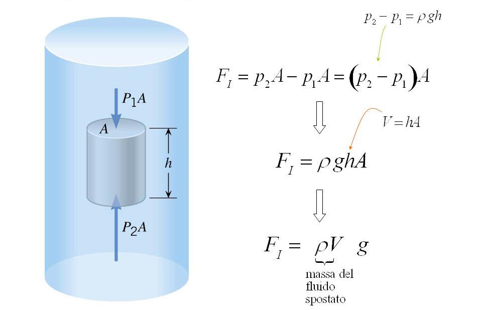 Principio di Archimede: un corpo immerso in un fluido