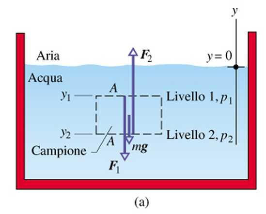 Legge di Stevino fluido in equilibrio forze di superficie (p 1 A, p 2 A) forze di volume (P = mg) p1 A mg p2a 0 p p A mg 2 1 m V Ay1 y2 p2 p1 A mg gay1 y2 p p gy y gh 2 1 1 2 [gh] = [ML -3 LT -2 ] =