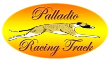 1 Trofeo Beauty&Performance Del Palladio 2017 1 BEAUTY&PERFORMANCE DEL PALLADIO : Combinata Show+Lure Coursing+Racing, alla quale possono concorrere tutte le razze del gruppo X.