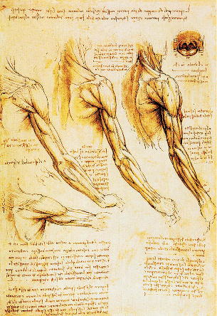 3. La filosofia rinascimentale LA STORIA E LA CULTURA DEL TEMPO Scienza e pittura in Leonardo da Vinci Leonardo da Vinci (1452-1519) è il simbolo dell uomo rinascimentale, ancora oggi considerato l