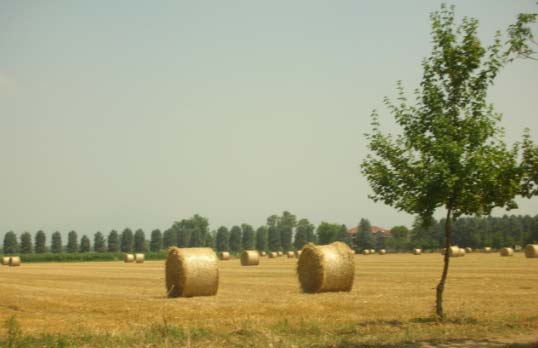 Il biotopo denominato Fontana Brenta (CG18) è situato nel tessuto agricolo a Sud di Cologno al Serio, a Nord-Ovest di C.na Telamonte.