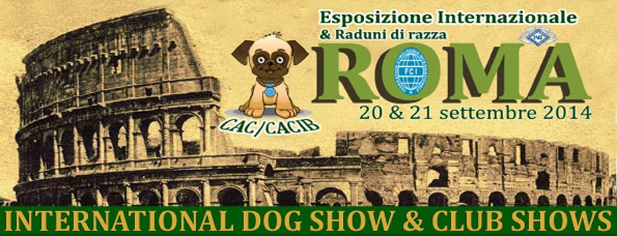 WEEK DOG SHOW ROMA 2014 EXPO INTERNAZIONALE DI ROMA Statistiche domenica 21 settembre 2014 Inizio giudizi ore10.00 Mr.
