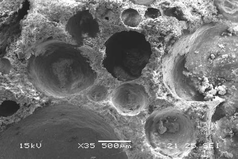 Una ricetta perfetta: minerali, sostanze organiche, aria, acqua, organismi viventi 30-70-100 cm Il suolo è una risorsa