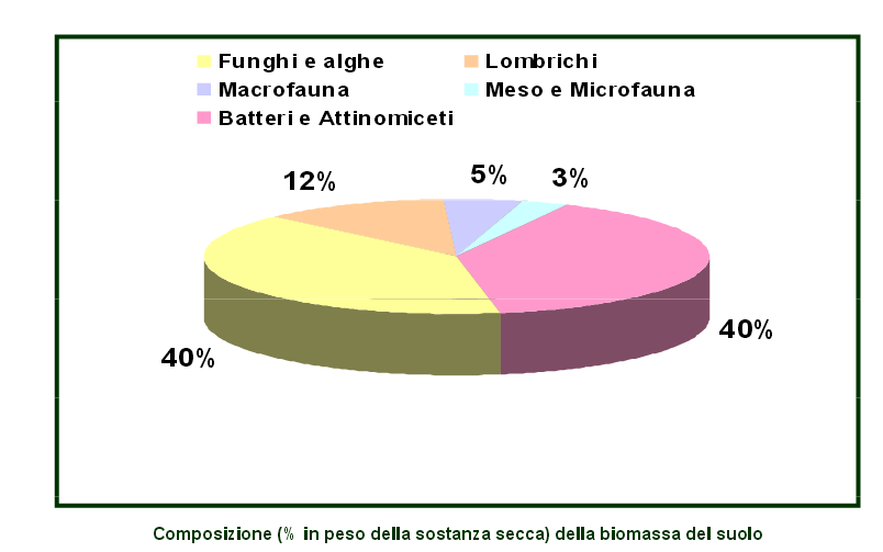 Composizione (% in peso)