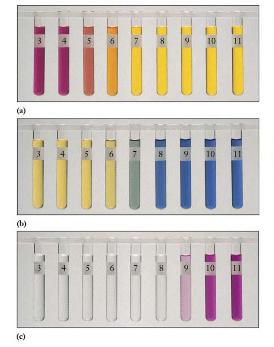 Variazioni di colore per alcuni indicatori: