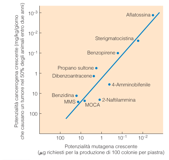 il cancro Test di Ames per misurare