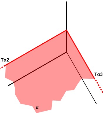 - Piano α parallelo al PO Dobbiamo ora capire come un piano può essere posizionato nel triedro. Essendo infinito il piano che chiameremo α, esso risulterà secante almeno con due piani del triedro.