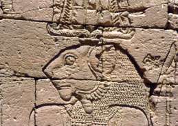 7 Il chiosco di Naga è del tardo meroitico, risale al II secolo A.D. ed è considerato il gioiello dell'arte meroitica.
