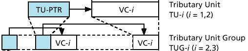 Elementi di multiplazione Container (C-i=11, 12, 2, 3, 4) permette di trasportare segnali numerici di base flussi della gerarchia PDH pacchetti ATM o IP la loro dimensione è stata scelta in funzione