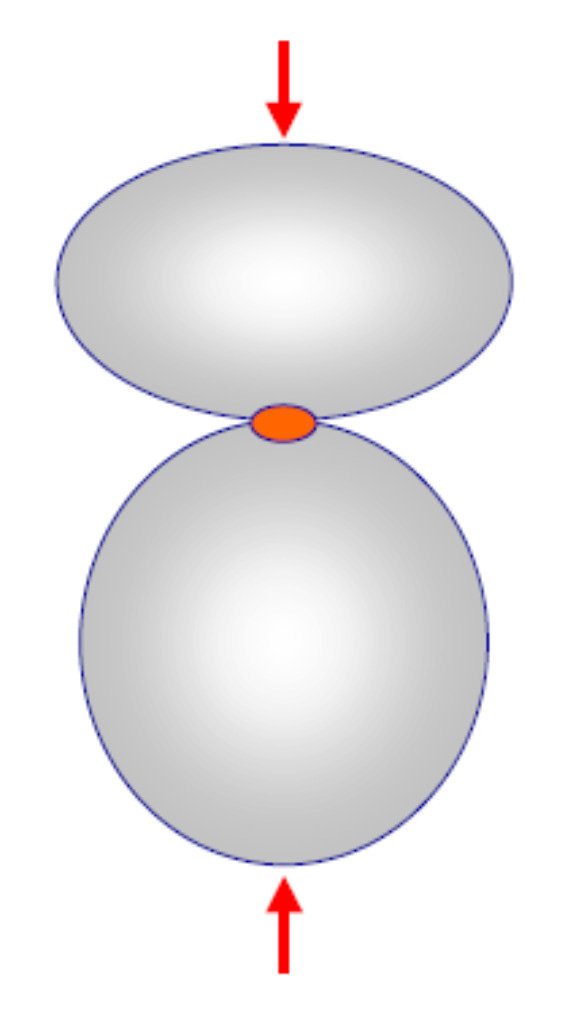 Teoria di Hertz Due corpi con superfici a diversa curvatura hanno idealmente un solo punto o una linea di contatto.