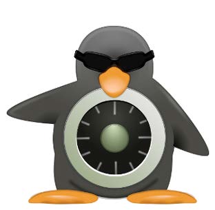 LA SOLUZIONE E : Mandatory Access Control Manadatory Access Control per Linux Non è un software di terze parti da installare, ma è già parte integrante del Kernel (Linux Security Module) SELinux