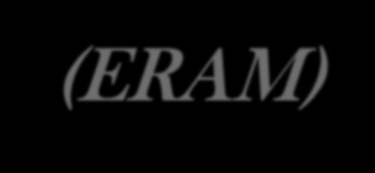 Master «Environmental risk assessment and management» (ERAM) Programma di massima Suolo, Acqua, Aria: principali trattamenti e tecniche di bonifica per la rimozione di diverse categorie inquinanti;