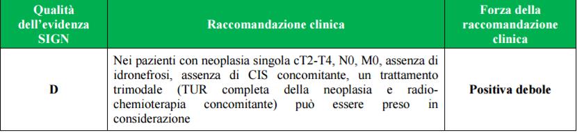 CHEMIOTERAPIA NEOADIUVANTE