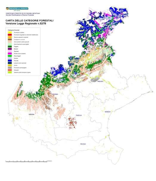 Il bosco nel Veneto: quanto? Sup. boscata regionale: 415.