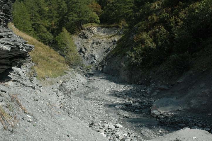 L energia della colata che ha interessato lo scorso agosto il Rio Merdovine è stata tale da asportare un tappo di blocchi rocciosi caratterizzati da volumetrie di 5-10 m 3, che dopo l evento 2004