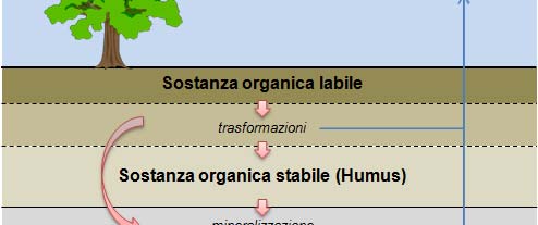 Indicatori di impatto ambientale Il lavoro è condotto in modo da andare a sintetizzare gli impatti ambientali utilizzando gli indicatori di impatto principali ovvero il consumo di acqua, le emissioni