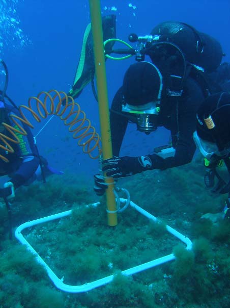 Campionamento fauna vagile con sorbona Siti: 2 livelli fissi con medesime caratteristiche (nord e sud di Calafuria) Verrà analizzata una sola profondità, quella dei -15 m, prelevando 4 campioni