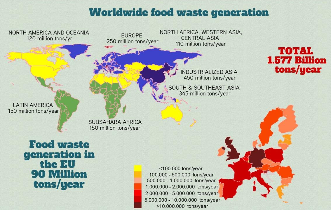 Lo spreco alimentare nel mondo 1577 milioni di tonnellate l anno Lo