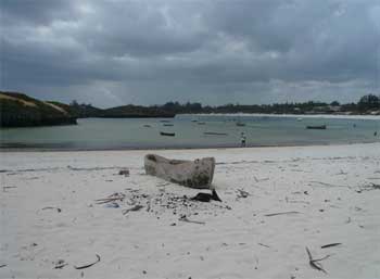 LE BARCHE DA PESCA TRADIZIONALI Le Hori Dau piatto Mashua lunga Ngalawa due piccola HORI più assi fino ). comuni vela).