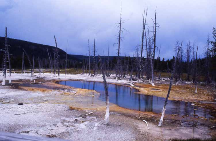 Castle Geyser. Il lago di Yellowstone.