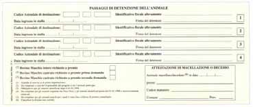 Marcatura e Cedola identificativa del bovino Anagrafe bovina Passaporto e Modello 4 Esempio di marcatura con bottone elettronico: Passaporto Lato A (fronte) Questo tipo di marca (microchip) viene