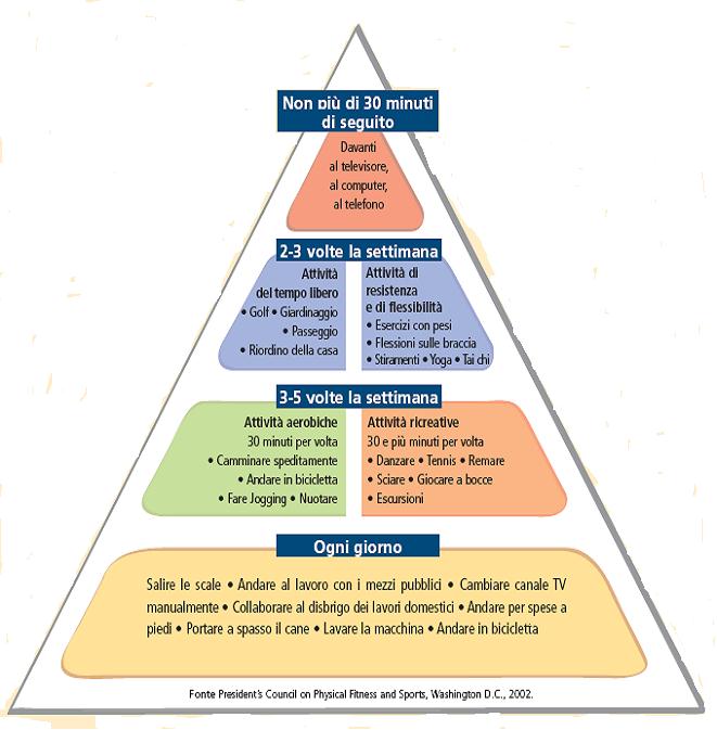 La piramide alimentare adattata alla attività motoria Importante Consultare